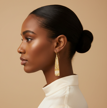 Load image into Gallery viewer, Brass + Stone Earrings: Two Tone Fossil Coral