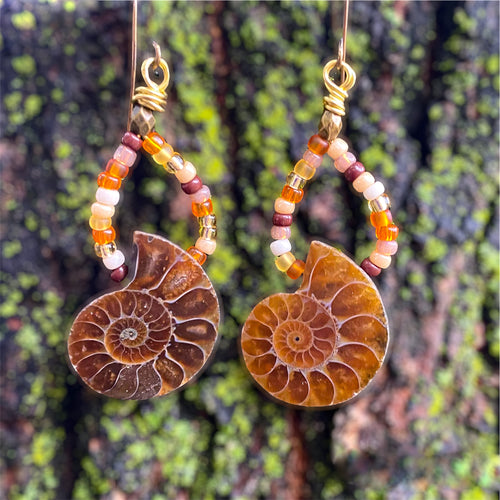 Nautilus Swing Earrings